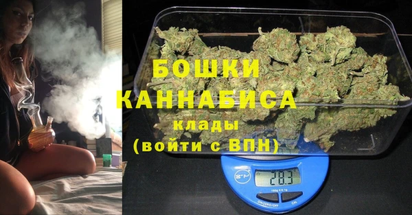 PSILOCYBIN Бронницы