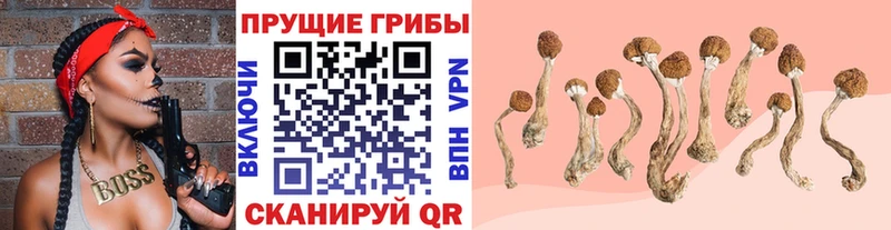 Псилоцибиновые грибы MAGIC MUSHROOMS  купить наркотик  hydra tor  Архангельск 